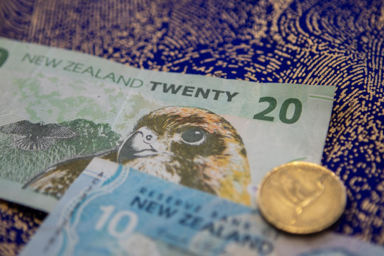 New Zealand Dollar notes